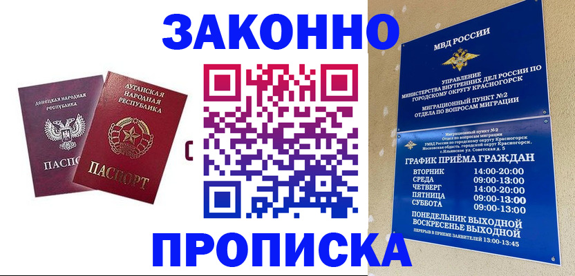 прописка в Зернограде